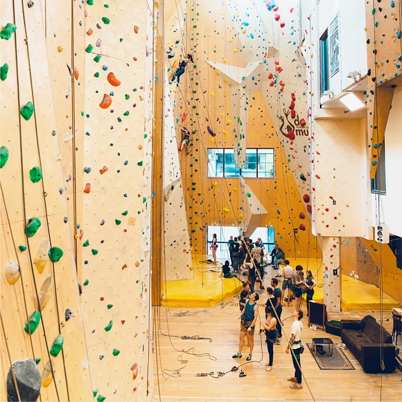 skiën, schaatsen en klimmen
